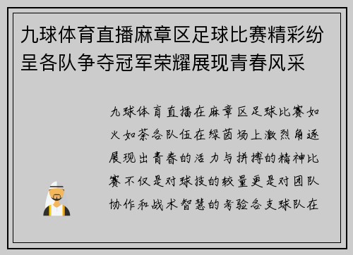 九球体育直播麻章区足球比赛精彩纷呈各队争夺冠军荣耀展现青春风采