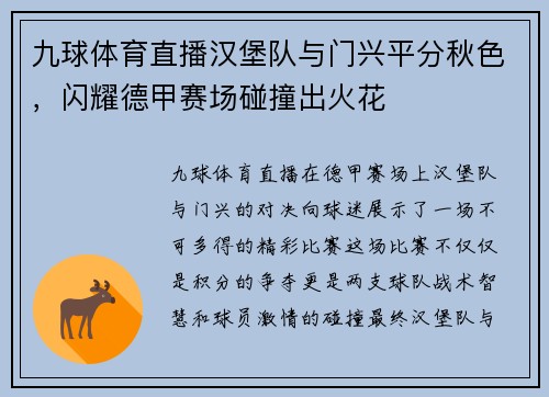 九球体育直播汉堡队与门兴平分秋色，闪耀德甲赛场碰撞出火花